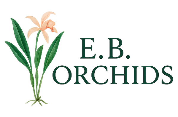 E.B. Orchids
