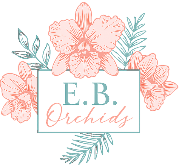 E.B. Orchids